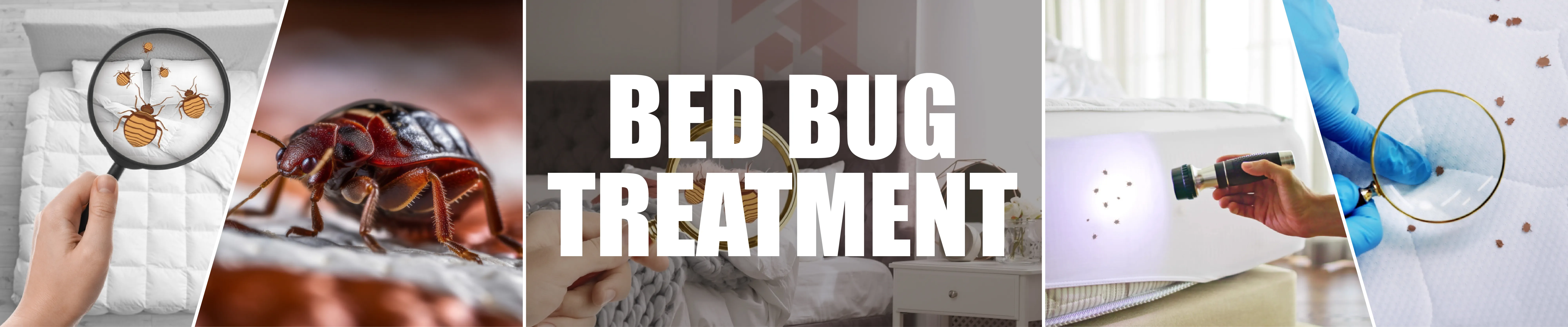 carpet cleaning in Queens, carpet cleaning services in Queens, carpet cleaning Queens, carpet cleaners in Queens, carpet cleaners services in Queens, commercial carpet cleaning, commercial carpet cleaning in Queens, Queens rug cleaners, rug cleaning services in Queens, same day carpet cleaning, same day rug cleaning